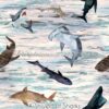 A Shiver Of Sharks Cotton Lycra