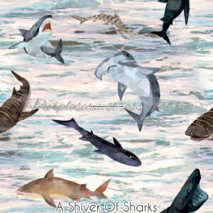 A Shiver Of Sharks Cotton Lycra