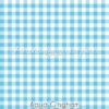 Aqua/White Gingham Cotton Lycra