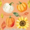 Autumn Pumpkins & Sunflowers Cotton Lycra