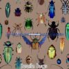 Beetle Bugs Cotton Lycra