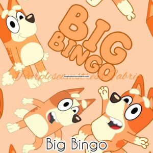Big Bingo Cotton Lycra