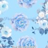 Blue Bonnet Roses Cotton Lycra