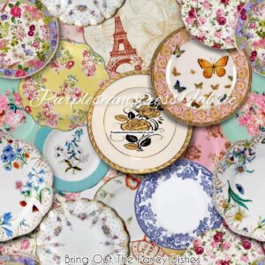 Bring Out The Fancy Dishes Cotton Lycra