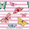 Butterfly Stripes Cotton Lycra
