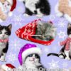 Christmas Kittens On Lavender Cotton Lycra