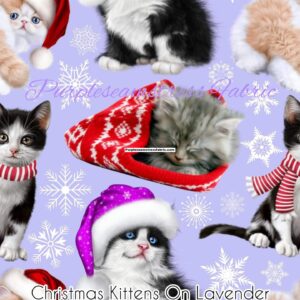 Christmas Kittens On Lavender Cotton Lycra
