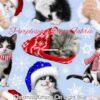 Christmas Kittens on Light Blue Cotton Lycra