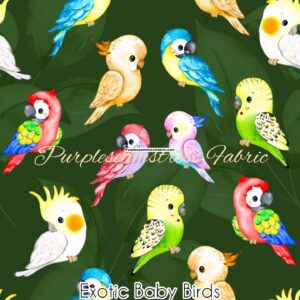 Exotic Baby Birds Cotton Lycra