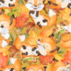 Fall Foxes Having Fun in the Leaves Cotton/lycra
