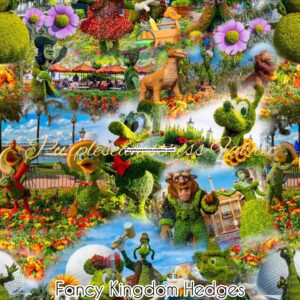 Fancy Kingdom Hedges Cotton Lycra