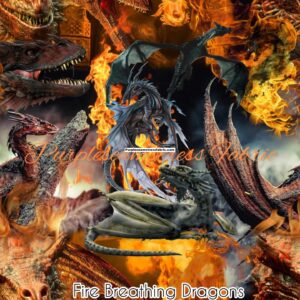 Fire Breathing Dragons Cotton Lycra