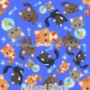 Fish Bowl Kittens Cotton Lycra