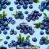 Fresh Plump Blueberries Cotton Lycra