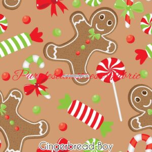 Gingerbread Boy Cotton Lycra