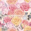 Gold and Blush Roses Cotton lycra