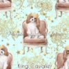King Cavalier Cotton Lycra