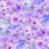 Lilac Monet Roses Cotton Lycra