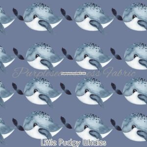 Little Pudgy Whales Cotton Lycra