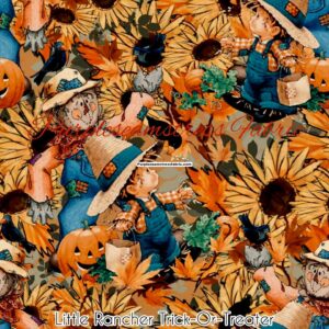 Little Rancher Trick-Or-Treater Cotton Lycra