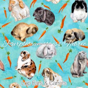 Lop Ears & Carrots Easter Cotton Lycra