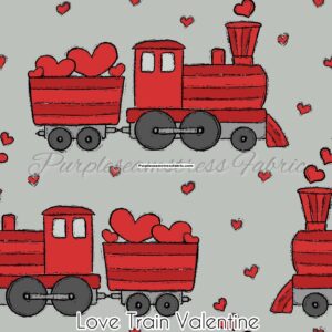 Love Train Valentine Cotton Lycra