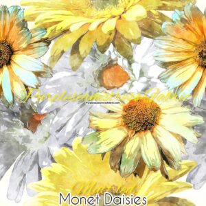 Monet Daisies Cotton Lycra