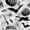 Monochrome Halloween Cotton Lycra