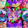 Neon Psychedelic Cats Cotton Lycra