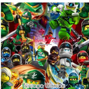 Ninjago Warriors Cotton Lycra
