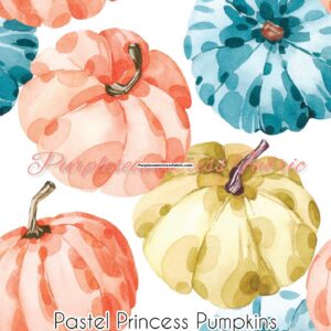 Pastel Princess Pumpkin Cotton Lycra
