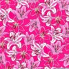 Pink Stargazers Cotton Lycra