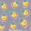 Pumpkin Domes Cotton Lycra