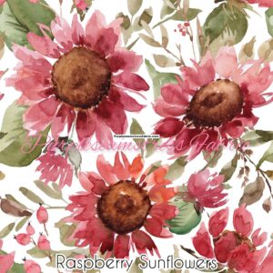 Raspberry Sunflowers Cotton Lycra