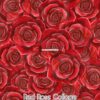 Red Rose Collage Cotton Lycra