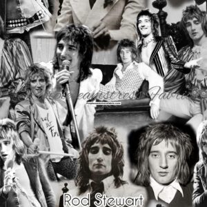 Rod Stewart Cotton Lycra