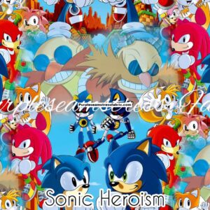 Sonic Heroism Cotton Lycra