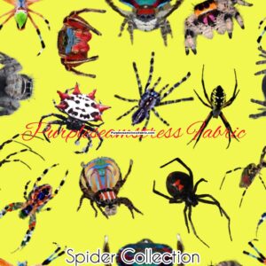 Spider Collection Cotton Lycra