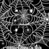 Spiders & Webs on Black Cotton Lycra