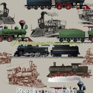 Steaming Locomotion Cotton Lycra