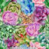 Succulent Collage Cotton Lycra