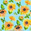 Sunflowers On Aqua