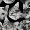 Tossed Kitty Faces Cotton Lycra