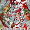 Winter Cardinals Cotton Lycra