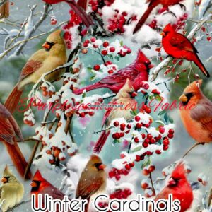 Winter Cardinals Cotton Lycra