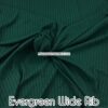 Evergreen Wide Rib Double Brushed Poly Spandex