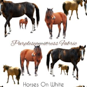 Horses on White Cotton Lycra