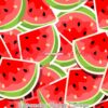 Watermelon Wedge Collage Cotton Lycra