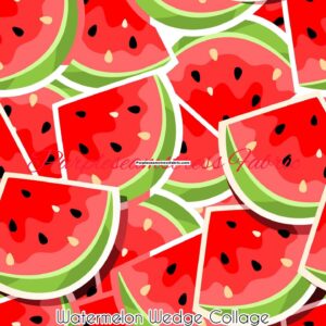 Watermelon Wedge Collage Cotton Lycra