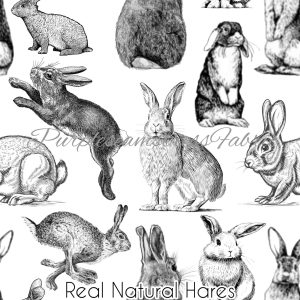 Real Natural Hares - Fabric